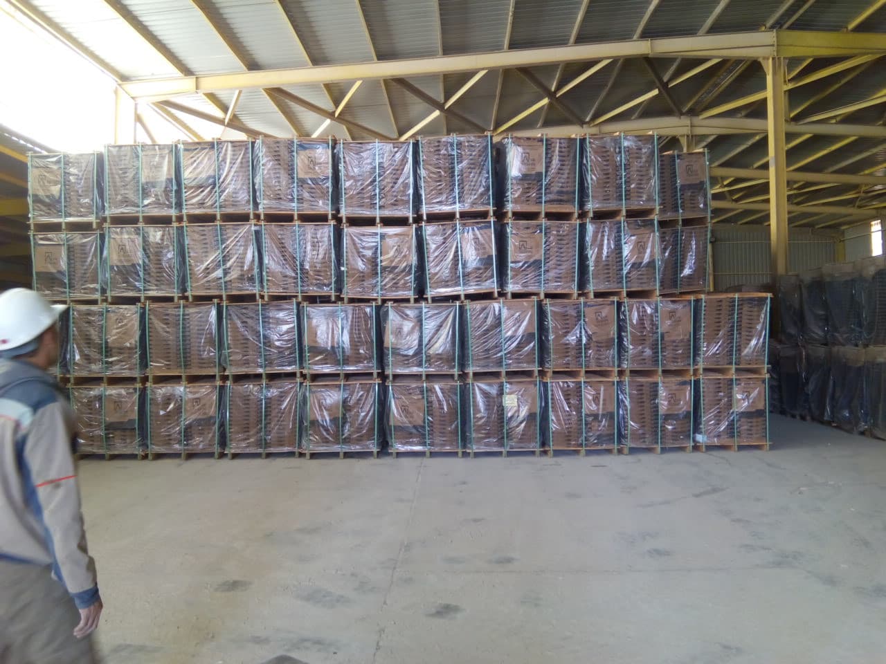 Cement paper sacks